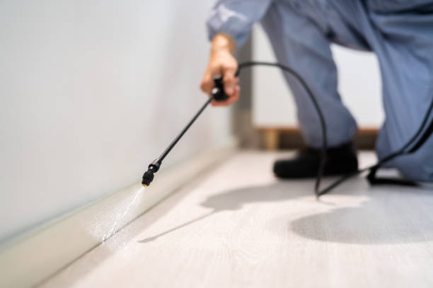 Professional exterminator conducting IPM assessment in Hewlett Harbor
