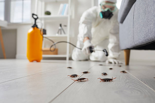 Commercial Kitchen Cockroach Control in Hewlett Harbor